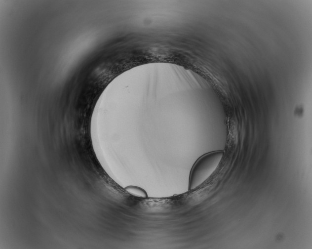 X0000099550526200806061519