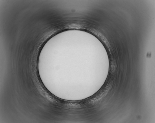 X0000099550529200806061519