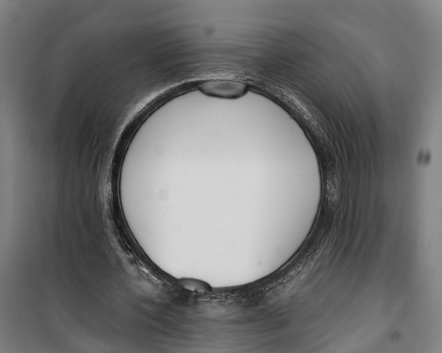 X0000099550532200806061519