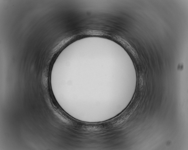 X0000099550533200806061519