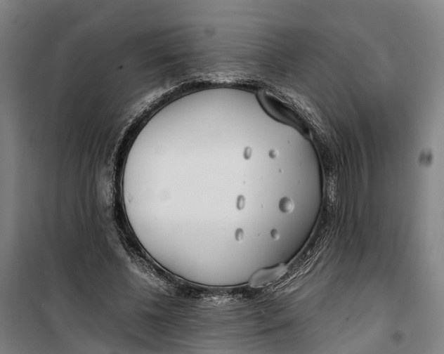 X0000099550540200806061519