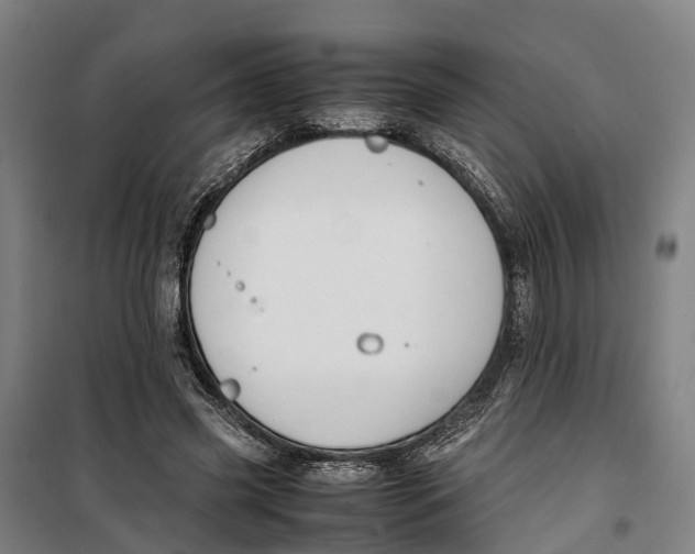 X0000099550541200806061519