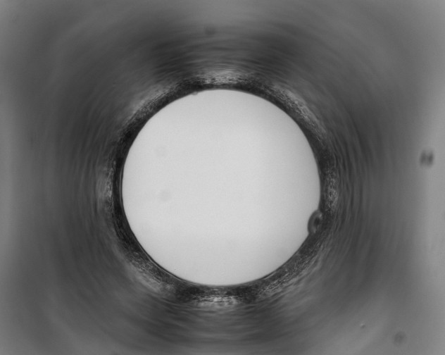 X0000099550543200806061519