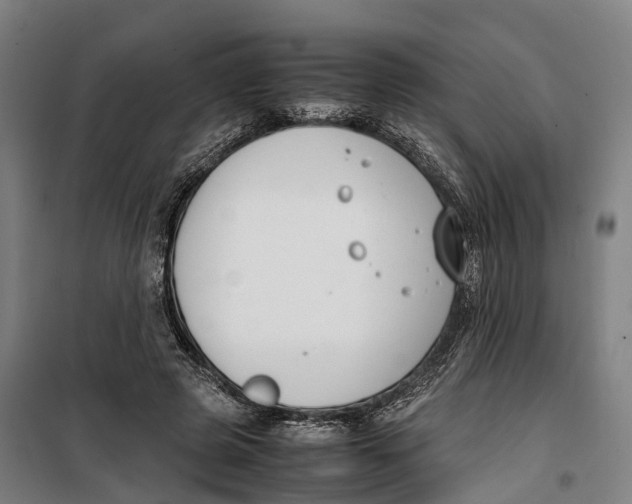 X0000099550545200806061519