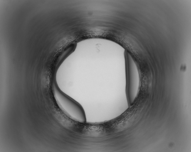 X0000099550546200806061519