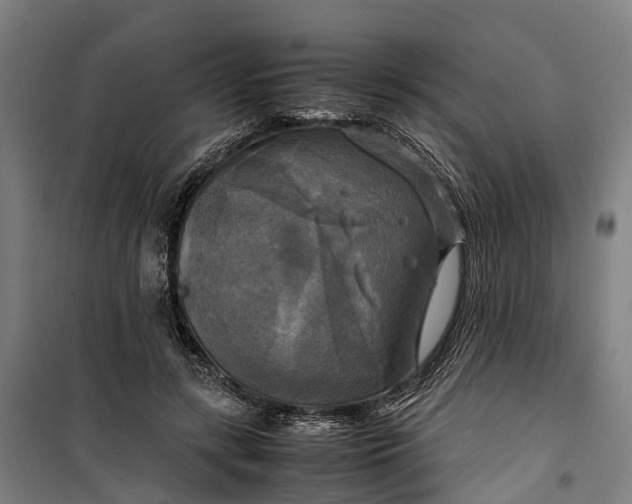 X0000099550547200806061519