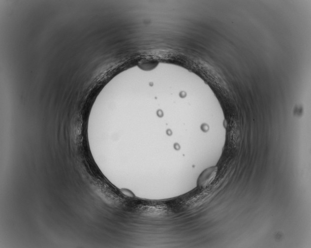 X0000099550548200806061519