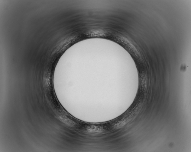 X0000099550549200806061519