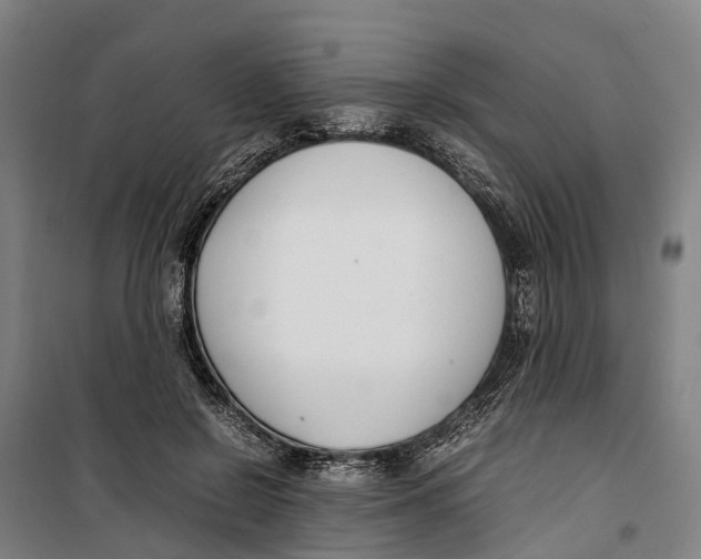 X0000099550550200806061519