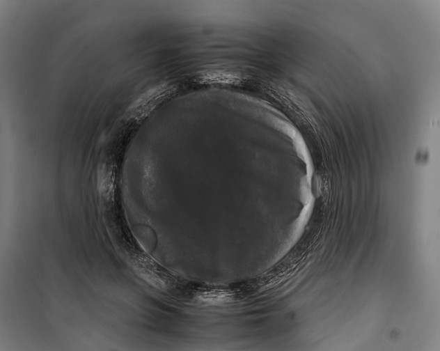 X0000099550551200806061519