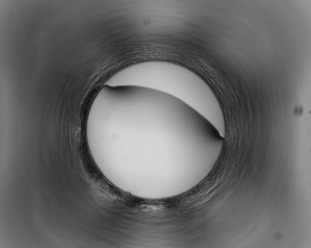 X0000099550552200806061519