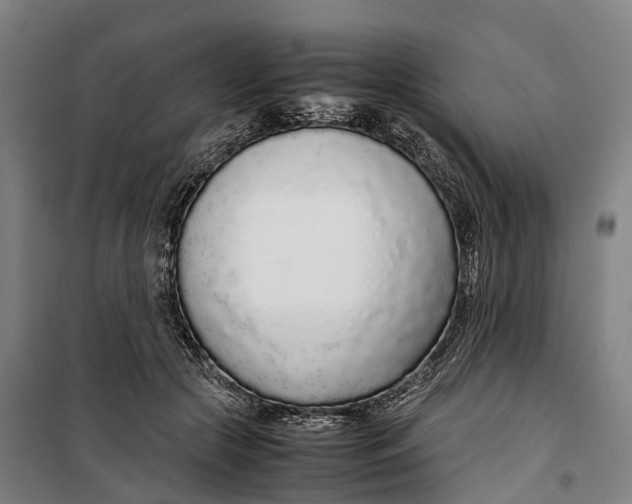 X0000099550553200806061519