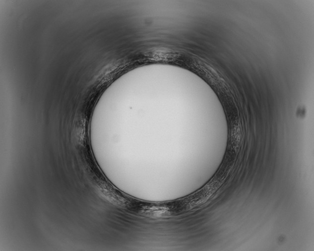 X0000099550554200806061519