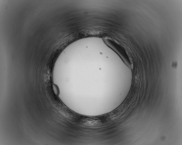 X0000099550555200806061519