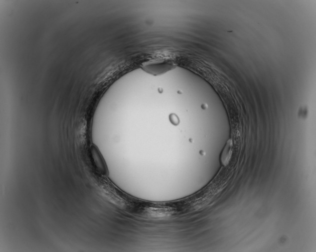 X0000099550556200806061519