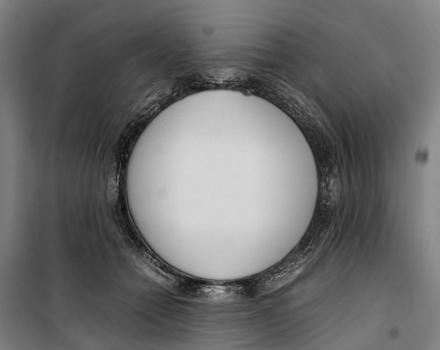 X0000099550558200806061519