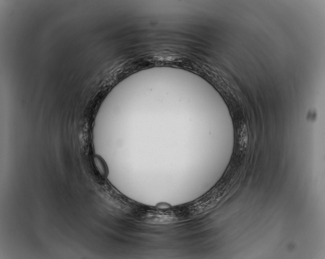 X0000099550559200806061519