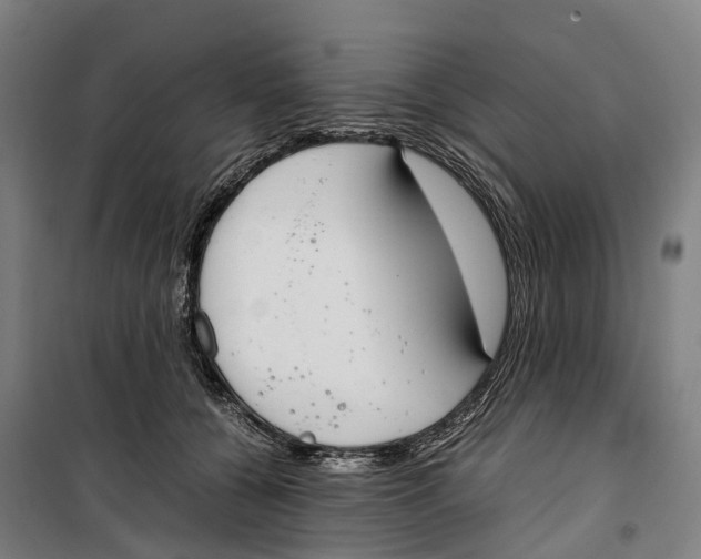 X0000099550560200806061519