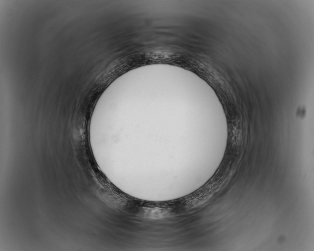 X0000099550561200806061519