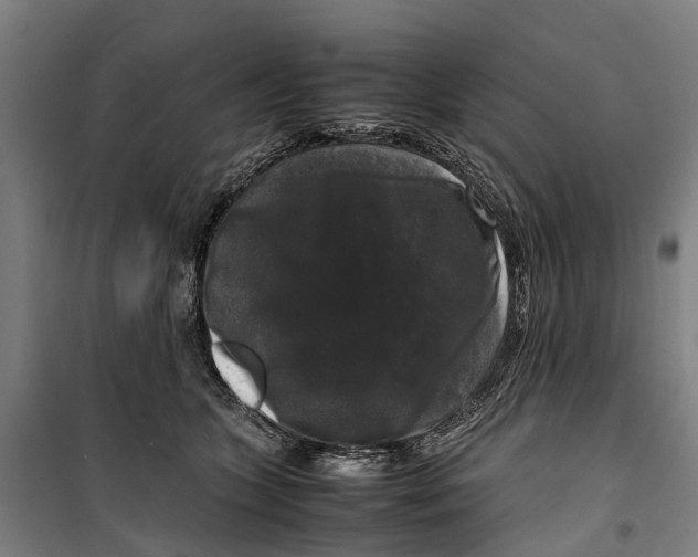 X0000099550563200806061519