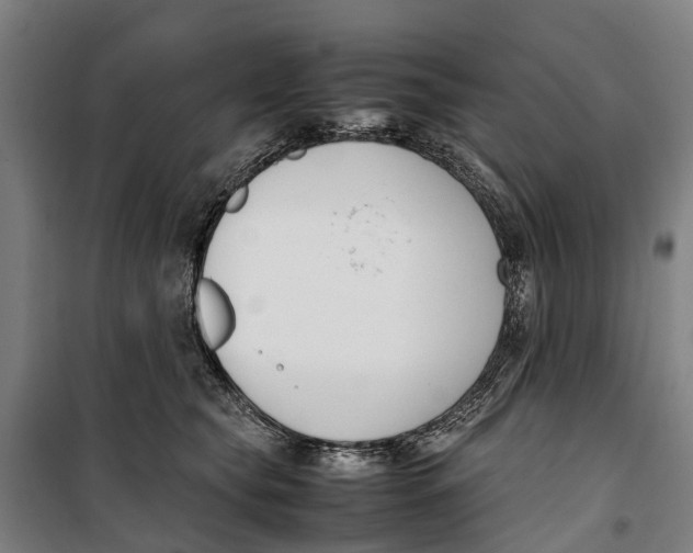 X0000099550565200806061519