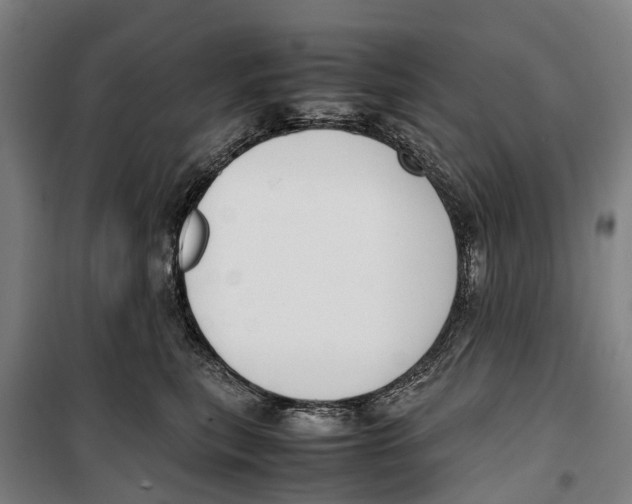 X0000099550567200806061519