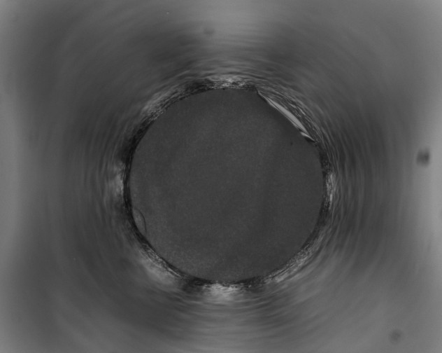 X0000099550570200806061519