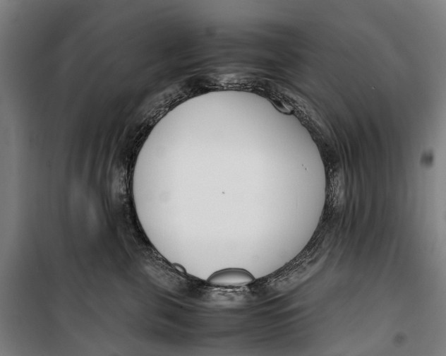 X0000099550571200806061519