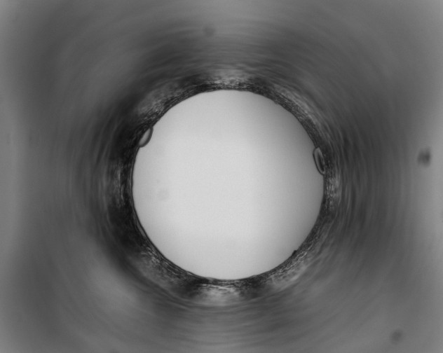 X0000099550572200806061519