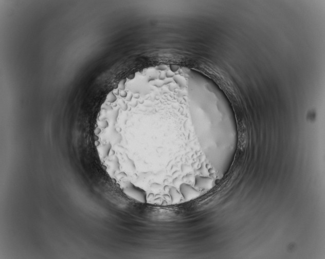 X0000099550573200806061519