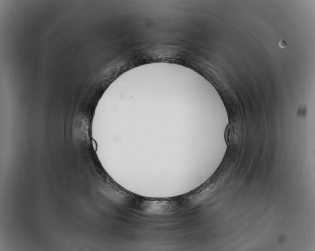 X0000099550575200806061519