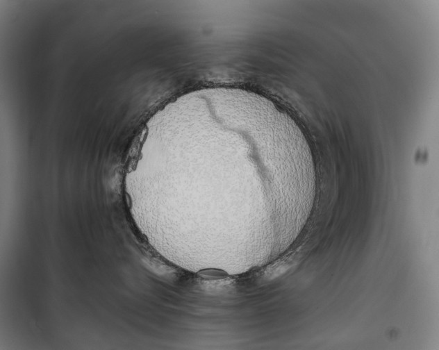 X0000099550576200806061519