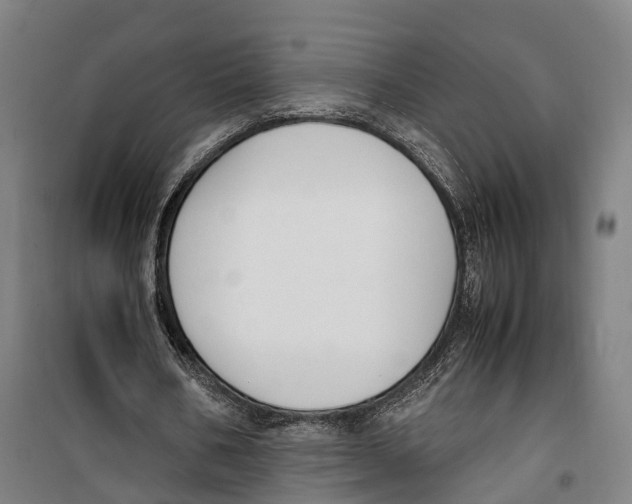 X0000099550578200806061519