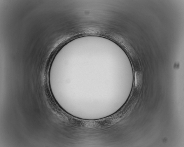 X0000099550579200806061519