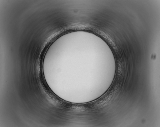 X0000099550582200806061519