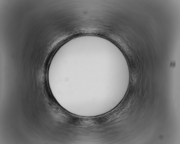 X0000099550583200806061519