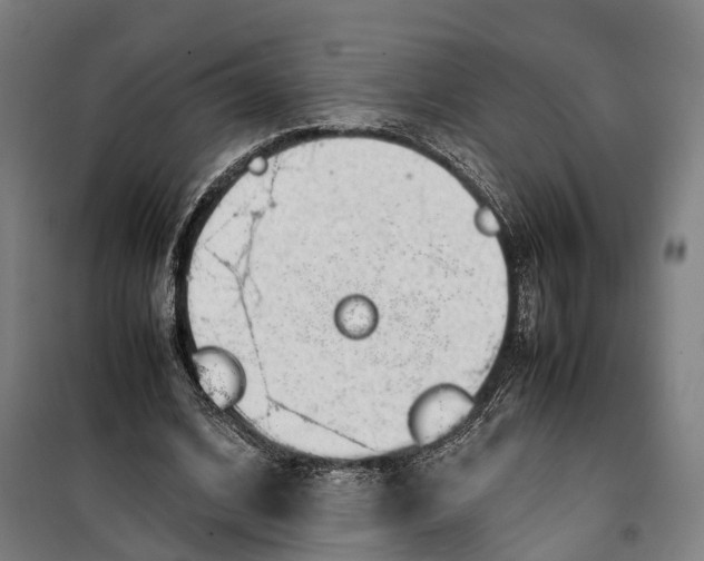 X0000099550584200806061519