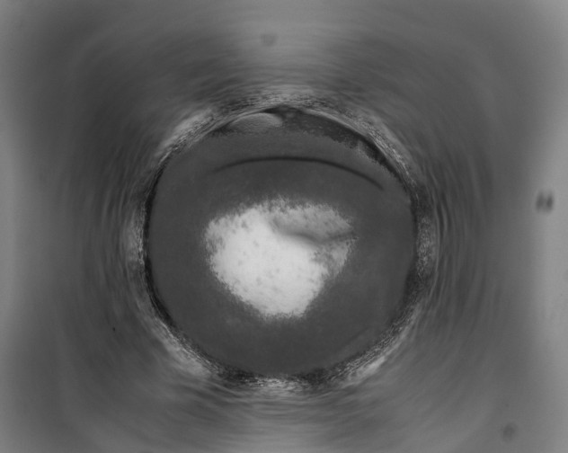 X0000099550585200806061518