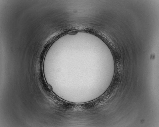 X0000099550587200806061518