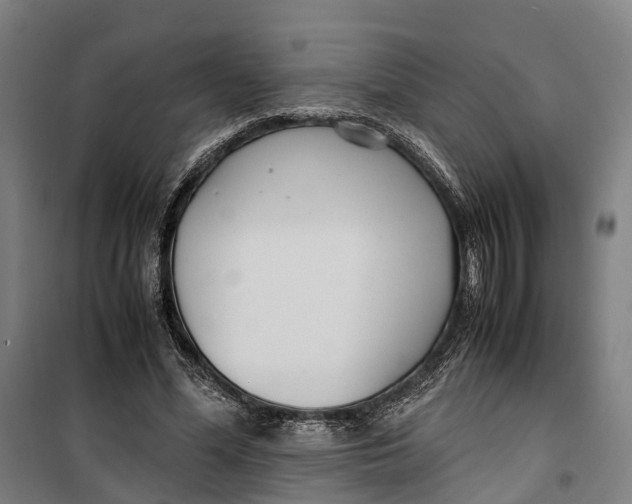 X0000099550588200806061518