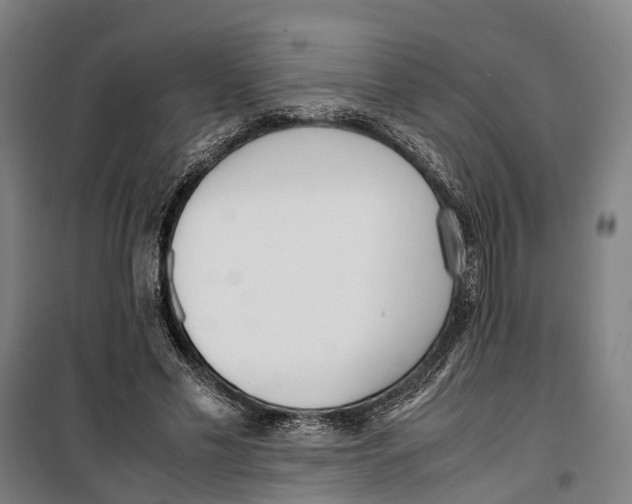 X0000099550589200806061518