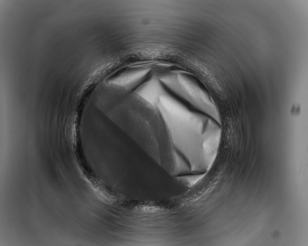 X0000099550590200806061518