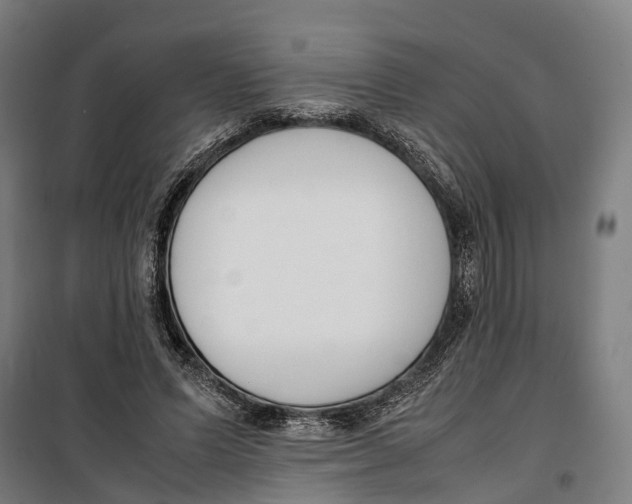 X0000099550591200806061518