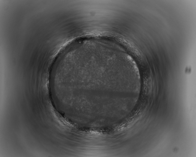 X0000099550592200806061518