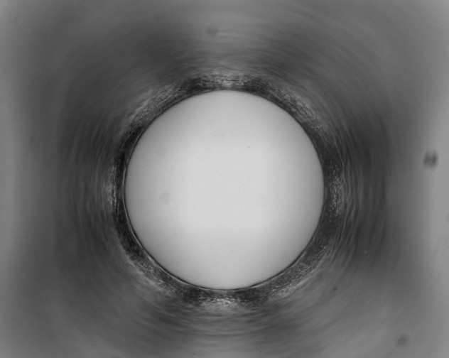 X0000099550594200806061518