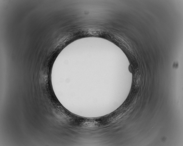 X0000099550595200806061518