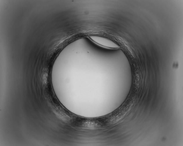 X0000099550596200806061518