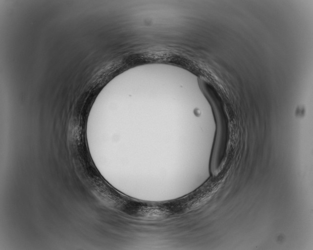 X0000099550597200806061518