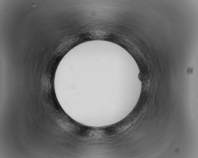 X0000099550599200806061518