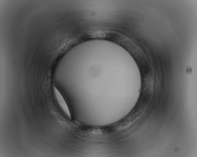 X0000099550600200806061518